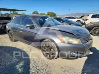 2009 Honda Accord фото