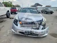 2009 Honda Accord photo