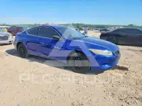 2009 Honda Accord photo