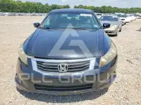 2009 Honda Accord photo