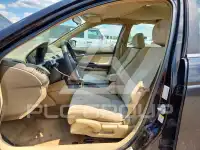 2009 Honda Accord фото