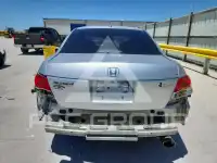 2009 Honda Accord фото