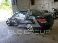 2009 Honda Accord фото