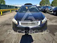 2009 Honda Accord фото