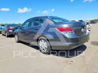 2009 Honda Accord фото