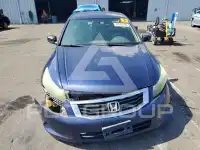 2009 Honda Accord photo
