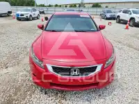 2009 Honda Accord photo