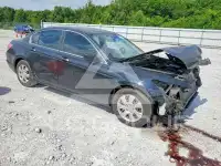 2009 Honda Accord фото
