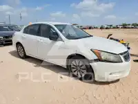2009 Honda Accord фото