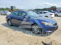 2009 Honda Accord photo