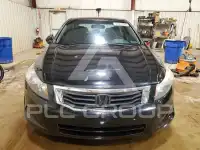 2009 Honda Accord photo