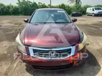2009 Honda Accord фото
