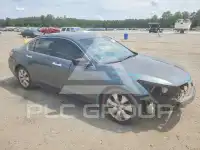 2009 Honda Accord фото