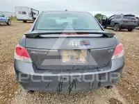 2009 Honda Accord photo