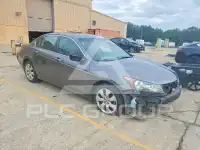 2009 Honda Accord фото