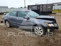 2009 Honda Accord photo