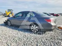 2009 Honda Accord фото