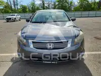 2009 Honda Accord фото