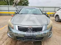 2009 Honda Accord фото