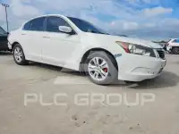 2009 Honda Accord photo