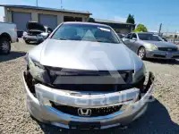 2009 Honda Accord фото