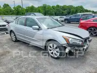 2009 Honda Accord фото