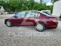 2009 Honda Accord фото