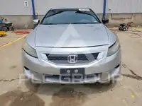 2009 Honda Accord photo