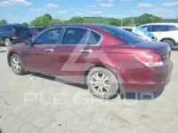 2009 Honda Accord photo