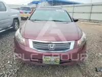 2009 Honda Accord фото