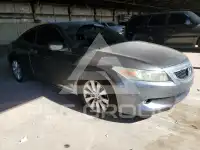 2009 Honda Accord photo