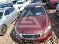 2009 Honda Accord фото