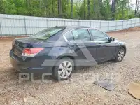2009 Honda Accord фото