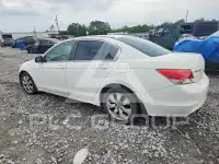 2009 Honda Accord фото