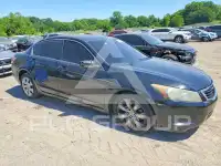 2009 Honda Accord фото