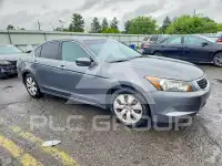 2009 Honda Accord фото