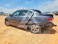 2009 Honda Accord фото