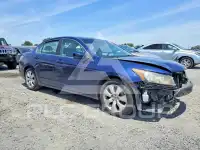 2009 Honda Accord фото