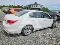 2009 Honda Accord фото