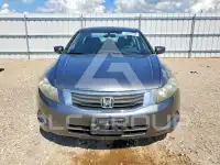 2009 Honda Accord фото