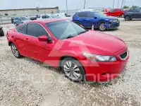 2009 Honda Accord photo