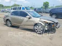 2009 Honda Accord фото