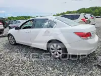 2009 Honda Accord фото