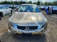 2009 Honda Accord фото