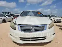 2009 Honda Accord фото