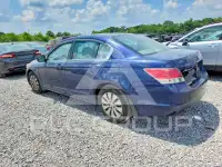 2009 Honda Accord фото