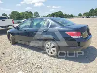 2009 Honda Accord photo