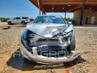 2009 Honda Accord фото