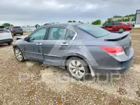 2009 Honda Accord photo
