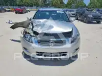 2009 Honda Accord photo